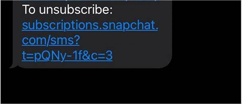 Snapchat text message number